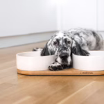 El comedero doble para mascotas Vuku de Labbvenn combina elegancia y funcionalidad. Con cuencos de cerámica y base de roble, es resistente y fácil de limpiar.