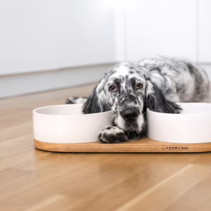 El comedero doble para mascotas Vuku de Labbvenn combina elegancia y funcionalidad. Con cuencos de cerámica y base de roble, es resistente y fácil de limpiar.