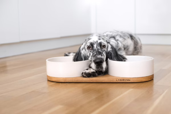 El comedero doble para mascotas Vuku de Labbvenn combina elegancia y funcionalidad. Con cuencos de cerámica y base de roble, es resistente y fácil de limpiar.