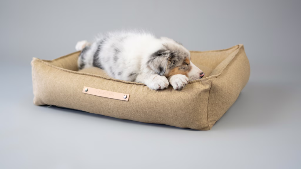La cama MØVIK de Labbvenn ofrece diseño y confort. Con espuma de alta resiliencia, funda lavable y materiales premium, ideal para perros de todos los tamaños.