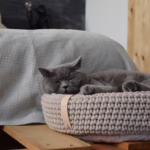 Descubre la cama para gatos Coco Basket de Labbvenn, hecha a mano con algodón Oeko-Tex y un cojín suave. Elegancia y confort para tu gato y tu hogar.