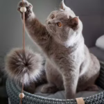 El juguete para gatos Tollo de Labbvenn, hecho a mano con cuero, madera y bolas de piel sintética, estimula su instinto de juego con estilo y diversión.