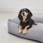 La Cama para perros Comodo de MiaCara, con colchón de espuma viscoelástica y funda extraíble. Diseño sofisticado, materiales premium y fácil mantenimiento.