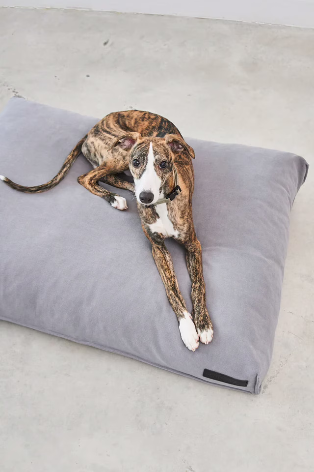 ComodoDog Cushion Slate 2