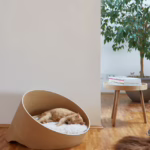 La cama para gatos Covo Lounge de MiaCara combina diseño circular en madera y cojín hipoalergénico para un descanso óptimo. Lavable y fácil de cuidar.