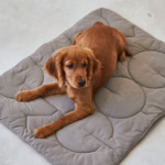 La manta para perros acolchada Linea Quilted de MiaCara, con forro polar italiano y tela mate. Diseño sofisticado, materiales premium y fácil de mantener.