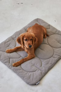 La manta para perros acolchada Linea Quilted de MiaCara, con forro polar italiano y tela mate. Diseño sofisticado, materiales premium y fácil de mantener.
