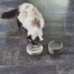El cuenco Piatto de MiaCara, de porcelana duradera y diseño poco profundo, ideal para gatos de cara plana. Apto para lavavajillas.