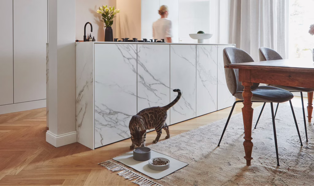 El cuenco para gatos Fresco de MiaCara, de porcelana duradera y diseño elegante. Ideal para agua, fácil de limpiar y apto para lavavajillas.