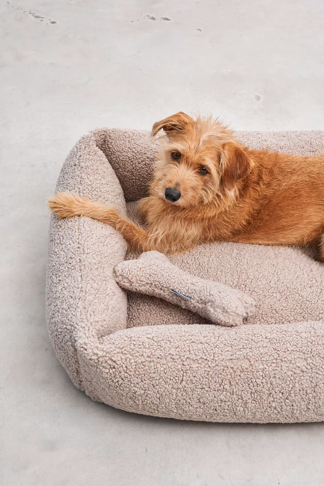 SensoDog Bed Greige 2