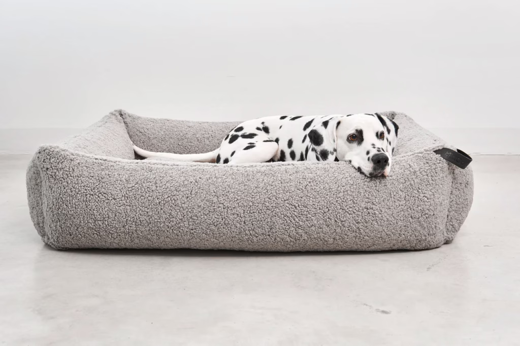 La Cama para perros Senso de MiaCara, con colchón de espuma viscoelástica y laterales reforzados. Funda lavable y diseño sofisticado para el mejor descanso.