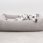 La Cama para perros Senso de MiaCara, con colchón de espuma viscoelástica y laterales reforzados. Funda lavable y diseño sofisticado para el mejor descanso.