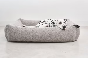 La Cama para perros Senso de MiaCara, con colchón de espuma viscoelástica y laterales reforzados. Funda lavable y diseño sofisticado para el mejor descanso.