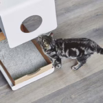 El arenero para gatos Sito de MiaCara, con diseño Bauhaus y estructura de aluminio. Incluye un inserto compostable para una limpieza fácil y rápida.
