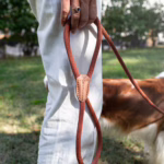 Descubre la correa para perro Torekov de Denjo Dogs: cuero italiano, cuerda resistente y diseño elegante. Ideal para perros pequeños y medianos.