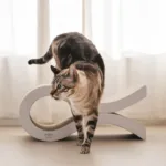 Rascador para gatos con diseño ondulado, ergonómico y ecológico. Ideal para rascar, estirarse y descansar con estilo y total seguridad en tu hogar.