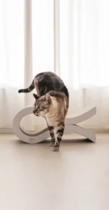 Rascador para gatos con diseño ondulado, ergonómico y ecológico. Ideal para rascar, estirarse y descansar con estilo y total seguridad en tu hogar.