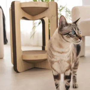 Rascador torre para gatos de dos niveles: descanso, juego y diseño en un solo mueble ecológico y resistente, ideal para gatos de todos los tamaños.