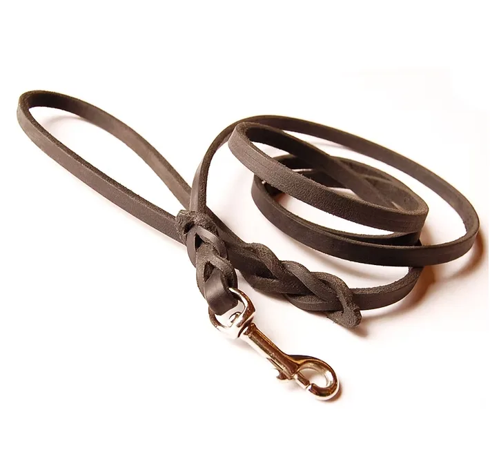 Brown Leather Leash 1