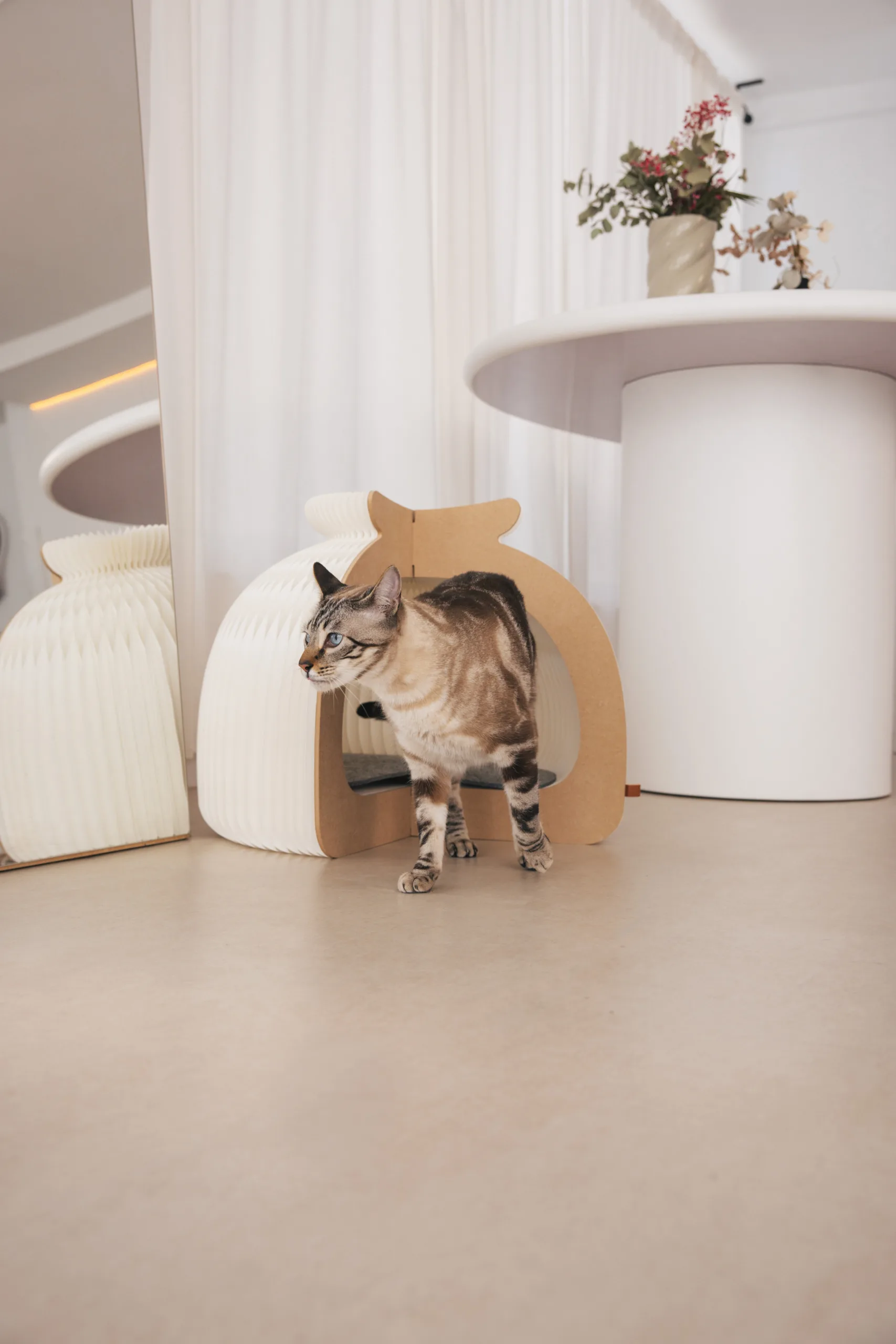 Cama Plegable para Gatos - Althea Living