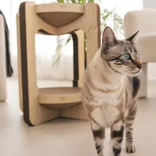 Rascador torre para gatos de dos niveles: descanso, juego y diseño en un solo mueble ecológico y resistente, ideal para gatos de todos los tamaños.